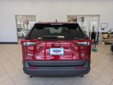 New 2025 Toyota RAV4 XLE w/ Convenience Package image 3