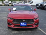 Used 2024 Ford Mustang Premium image 3