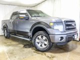 Used 2013 Ford F150 FX4 w/ Luxury Equipment Group image 2