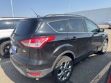 Used 2015 Ford Escape SE w/ Equipment Group 201A image 3