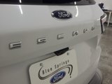 Used 2022 Ford Escape SE w/ SE Sport Appearance Package image 6