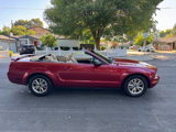 Used 2005 Ford Mustang Convertible image 4