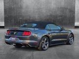 Used 2015 Ford Mustang Convertible w/ Equipment Group 051A image 5