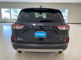 Used 2022 Ford Escape SE w/ Cold Weather Package image 6