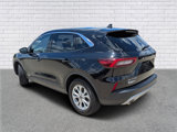 Used 2024 Ford Escape Active image 3