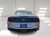 Used 2023 Ford Mustang Premium image 6