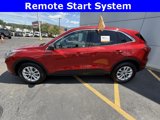 Certified 2022 Ford Escape SE w/ Convenience Package image 4
