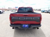 Used 2019 Ford F150 Raptor w/ Equipment Group 802A Luxury image 4