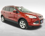 Used 2016 Ford Escape SE w/ SE Leather Comfort Package image 3