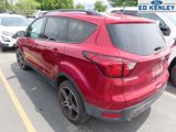 Used 2019 Ford Escape SEL image 3