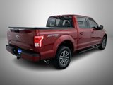 Used 2015 Ford F150 XLT w/ Equipment Group 302A Luxury image 5