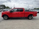 Used 2016 Ford F150 XLT image 6