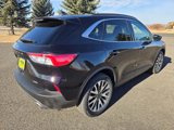 Used 2022 Ford Escape Titanium image 6