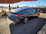 Certified 2024 Hyundai Elantra Blue image 6