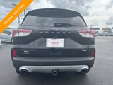 Used 2020 Ford Escape Titanium image 4
