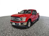 Used 2018 Ford F150 XLT w/ Equipment Group 301A Mid image 2