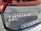 Used 2019 Volkswagen Tiguan SEL image 3