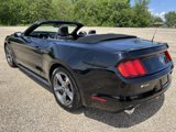 Used 2015 Ford Mustang Convertible w/ Equipment Group 051A image 3