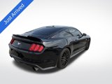 Used 2016 Ford Mustang Premium w/ Equipment Group 201A image 5