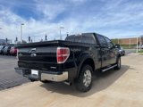 Used 2013 Ford F150 XLT w/ Luxury Equipment Group image 5
