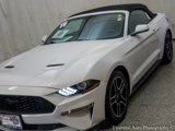 Used 2018 Ford Mustang Premium w/ Equipment Group 201A image 4