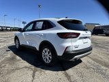Used 2024 Ford Escape Active image 4
