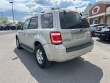 Used 2009 Ford Escape Limited image 3