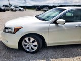 Used 2009 Honda Accord EX-L image 4