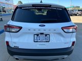 Used 2022 Ford Escape SE w/ Convenience Package image 5