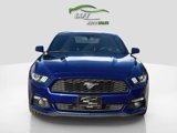 Used 2015 Ford Mustang Premium w/ Equipment Group 201A image 3