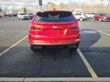 Used 2024 Cadillac XT4 Premium Luxury image 6
