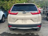 Used 2019 Honda CR-V EX-L image 3