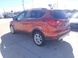 Used 2019 Ford Escape SEL image 5