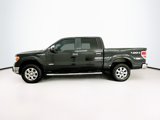 Used 2013 Ford F150 XLT w/ Luxury Equipment Group image 4