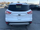 Used 2014 Ford Escape SE w/ Equipment Group 201A image 6