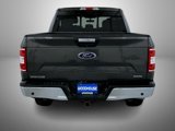Used 2019 Ford F150 XLT w/ Equipment Group 302A Luxury image 6