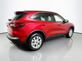 New 2025 Ford Escape Active w/ Tech Pack #1 image 6