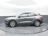Used 2022 Ford Escape SE w/ Convenience Package image 4