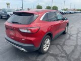 Used 2020 Ford Escape SE image 6