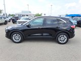 Certified 2022 Ford Escape SE w/ Convenience Package image 2