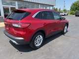 Used 2021 Ford Escape SE image 3
