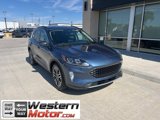 Used 2020 Ford Escape SEL image 2