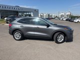 Used 2021 Ford Escape SE image 3