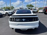 Used 2016 Ford Mustang Coupe w/ Equipment Group 051A image 5