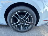 Used 2019 Ford Mustang Premium image 6