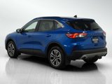 Used 2020 Ford Escape SEL image 3