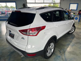 Used 2014 Ford Escape SE w/ Equipment Group 201A image 2