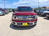 Used 2019 Ford F150 XLT w/ Equipment Group 302A Luxury image 2