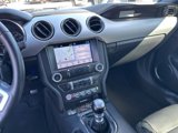Used 2017 Ford Mustang GT Premium w/ Black Accent Package image 5