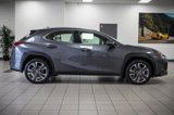 Certified 2023 Lexus UX 250h FWD image 5